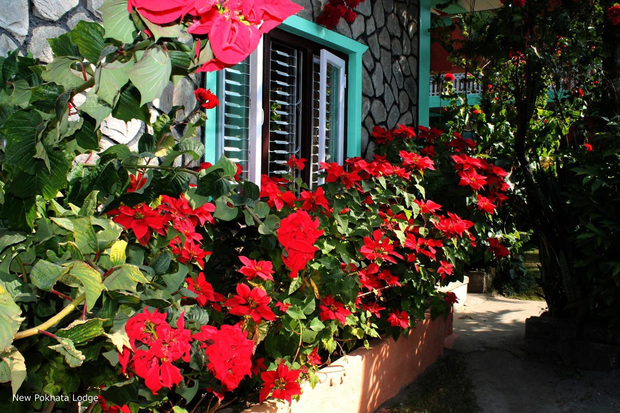 New Pokhara Lodge - Pokhara Lakeside Ngoại thất bức ảnh
