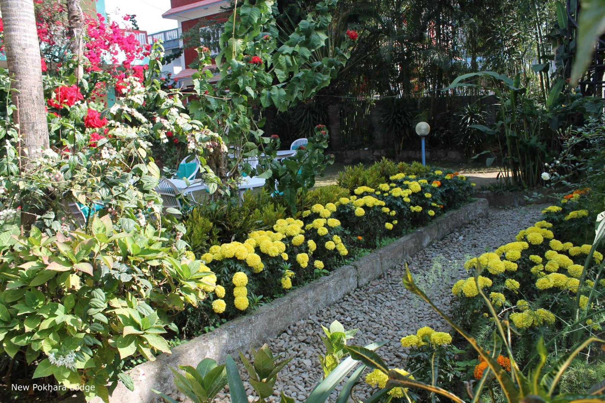 New Pokhara Lodge - Pokhara Lakeside Ngoại thất bức ảnh